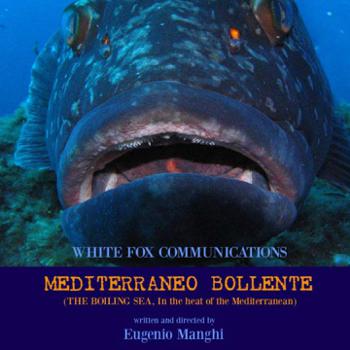 Immagine Brano